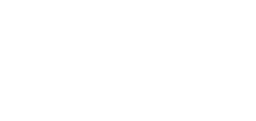 ecovis